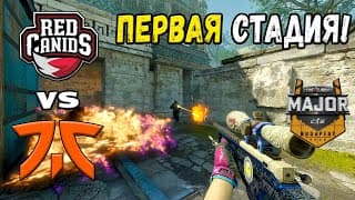 Fnatic vs RED Canids — StarLadder Budapest Major 2025