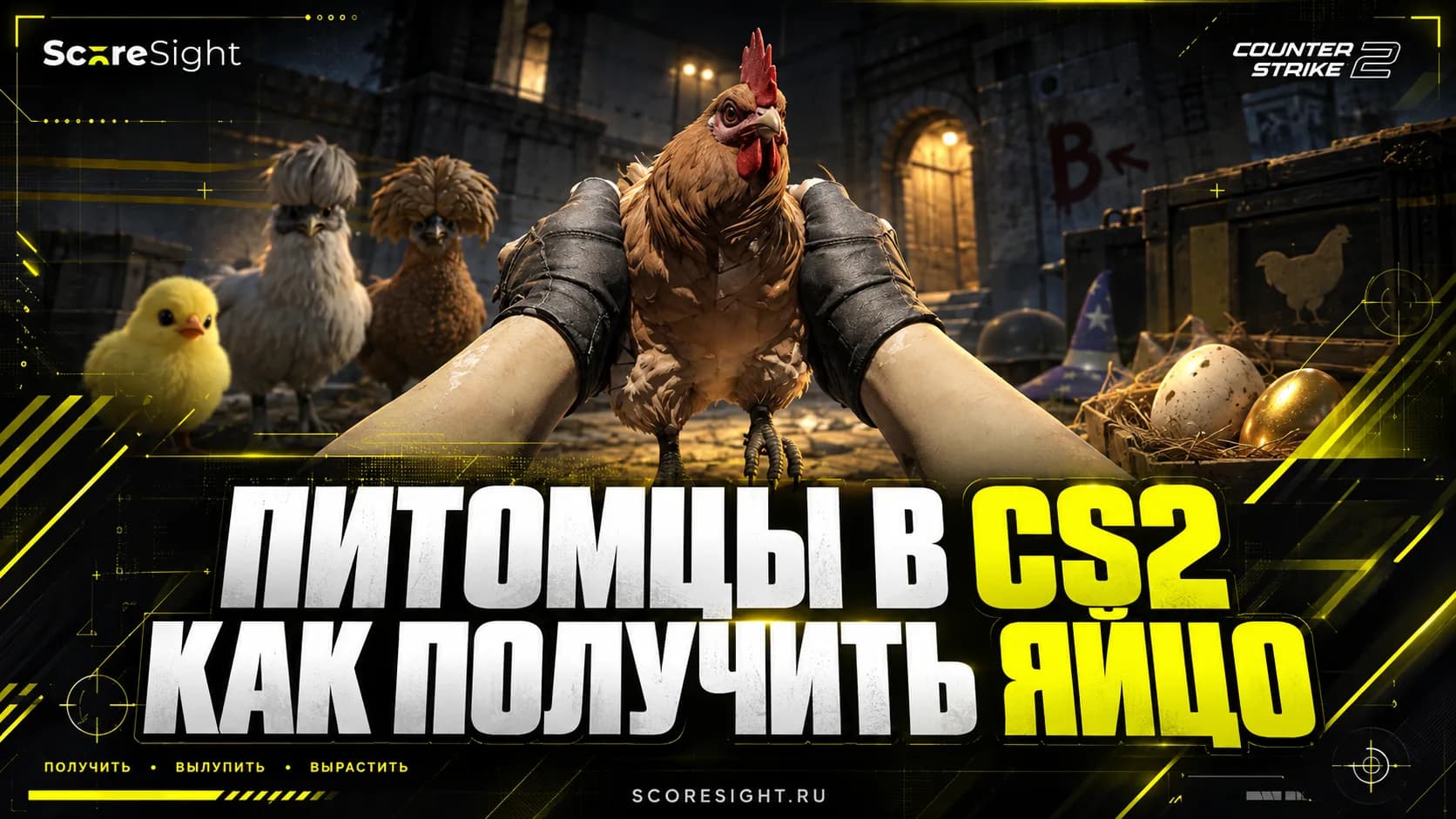 Питомцы в CS2: как получить и вылупить куриное яйцо