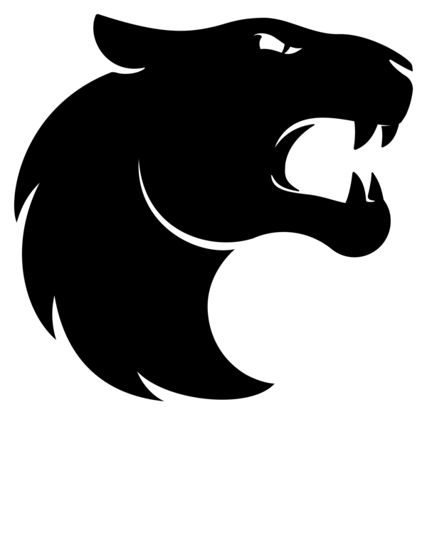 FURIA Esports logo